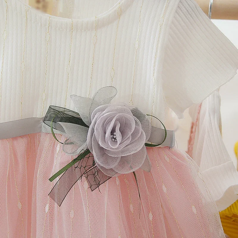 Summer New Baby Girls Dress Sweet Princess Dress Flower Ribbon Mesh Shaggy Gauze Dress Birthday Party Dress - Image 3